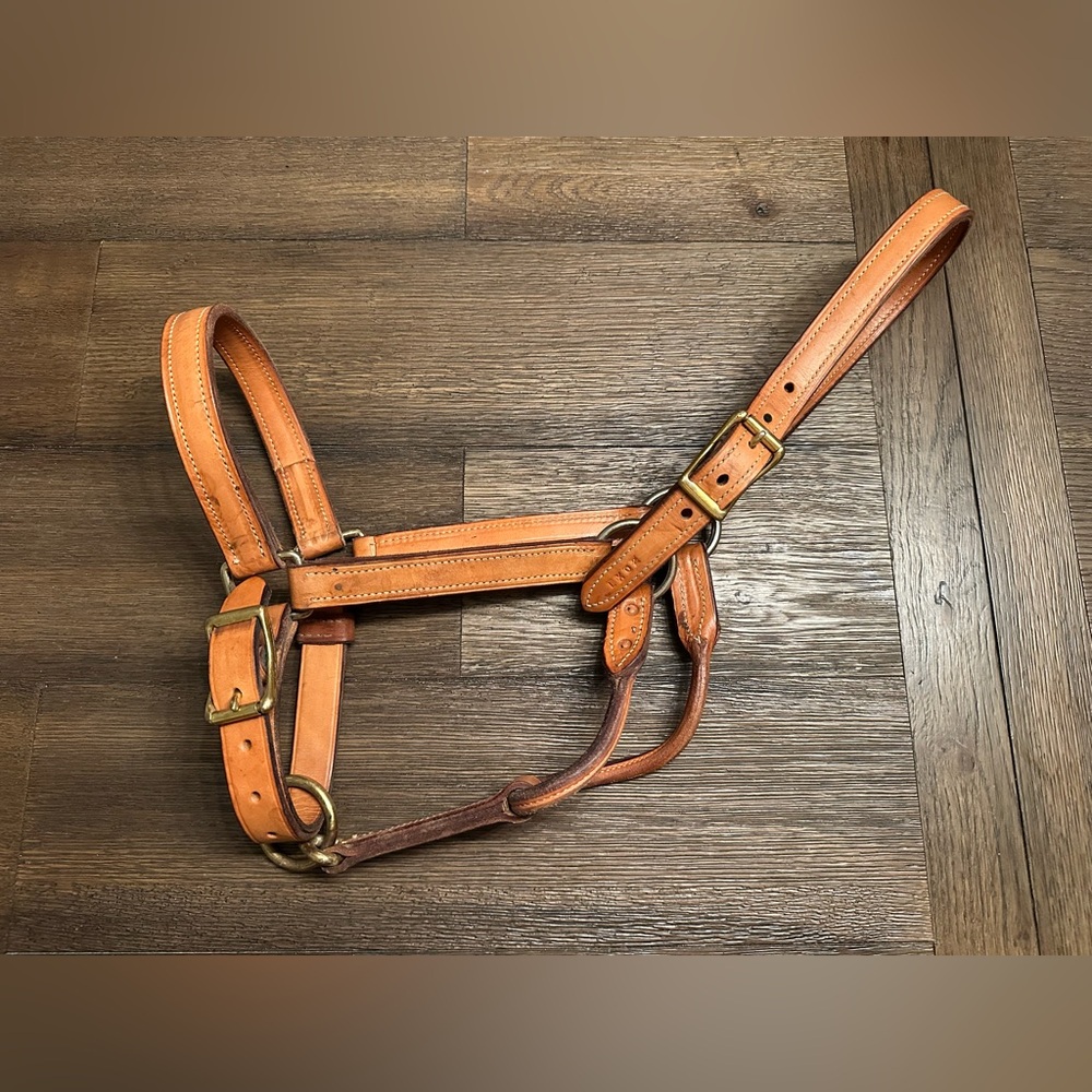 Horse Tack - Light Oil Leather Track Halter